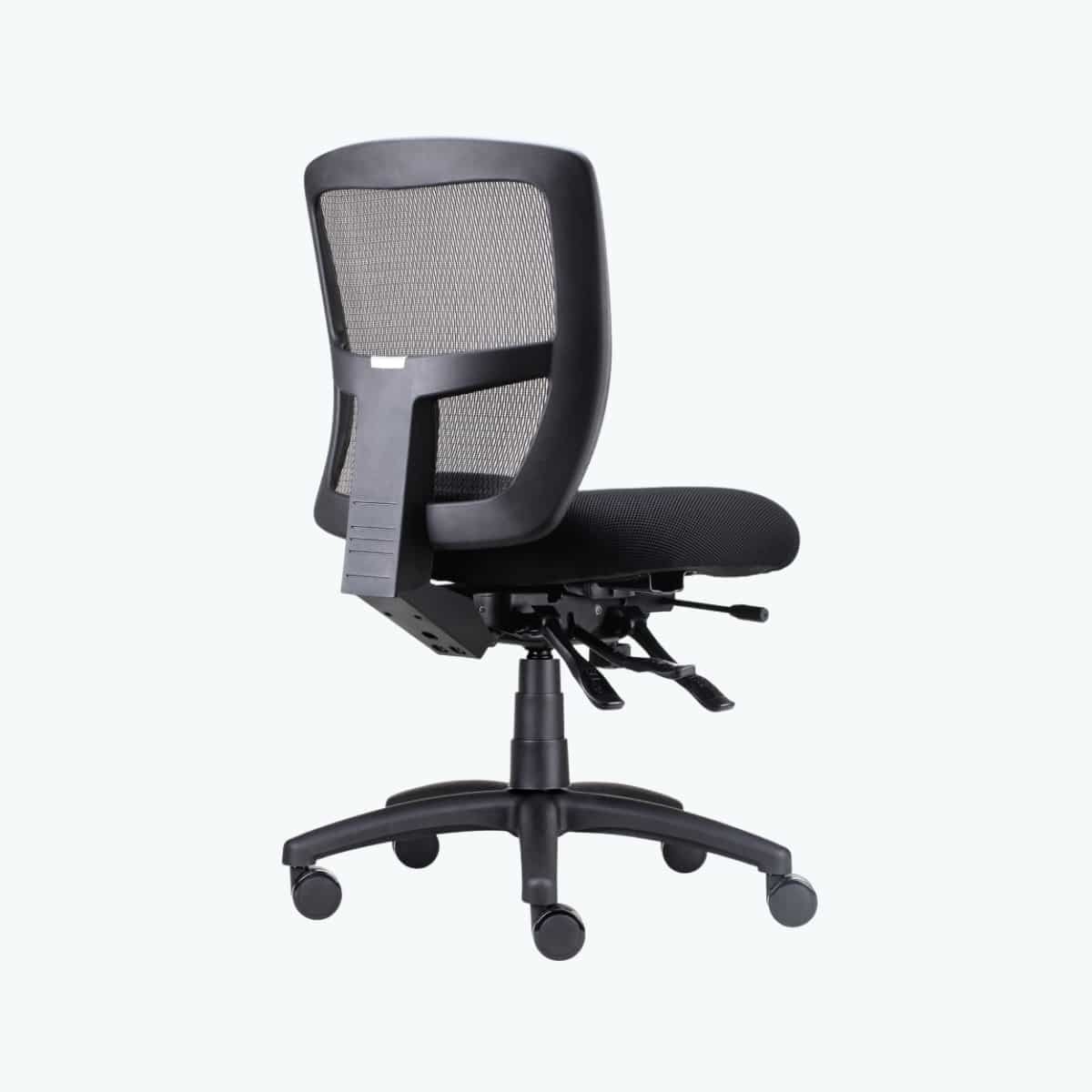 Ergo Task Chair
