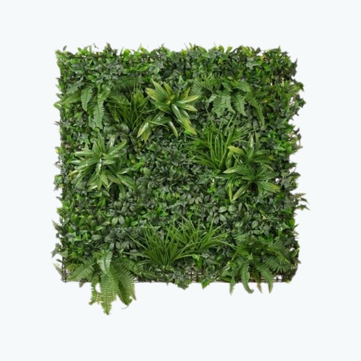 Fern Mixed Vertical Garden